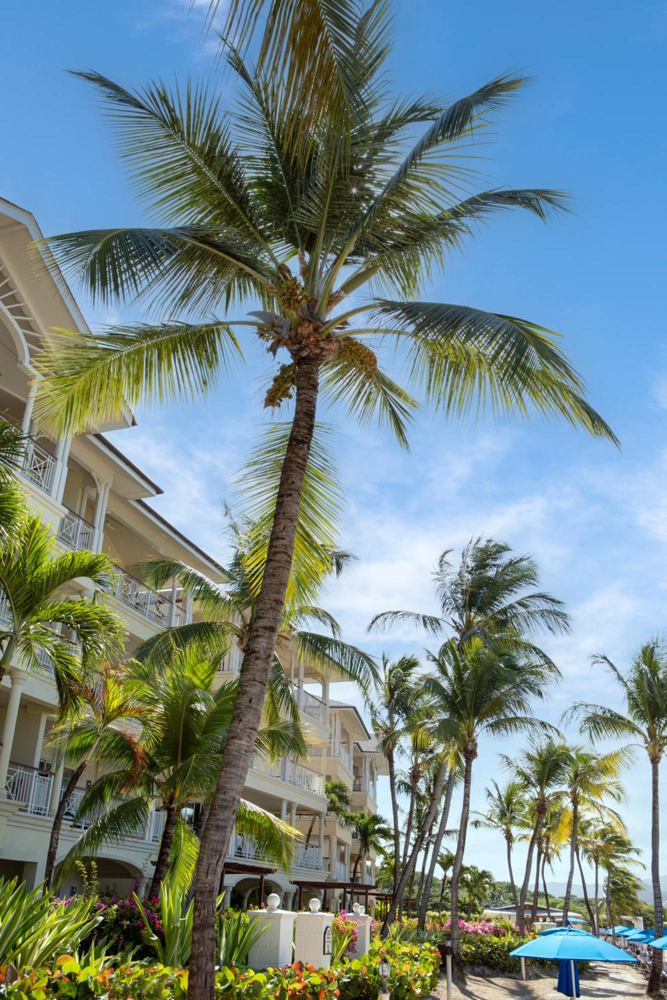 The Landings Resort And Spa - All Suites 格罗斯岛 外观 照片
